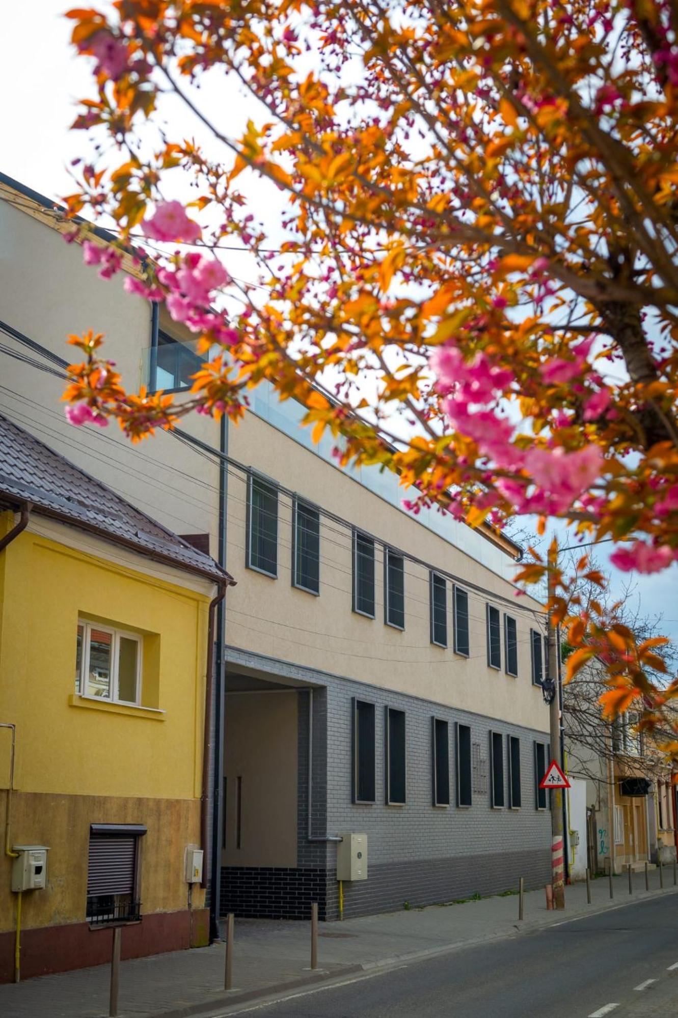 H11 Downtown Apartments Târgu-Mureş Esterno foto